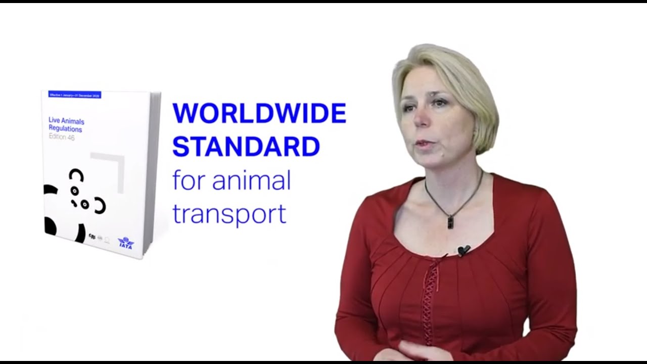 How to comply with live animal handling and transport regulations? - YouTube