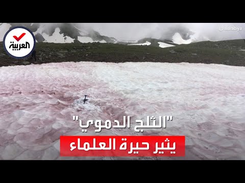 الثلج الدموي على قمم جبال الألب يثير الحيرة والدهشة 