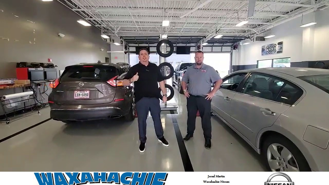 Lifetime Alignment YouTube