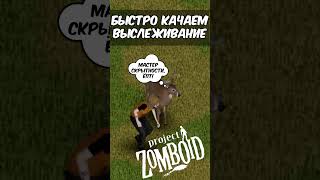 ПРОСТАЯ ПРОКАЧКА ВЫСЛЕЖИВАНИЯ В Project Zomboid (42). #projectzomboid