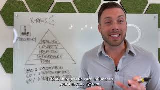 Celebrity Wellness Xray Report || Be Aligned Health || Dr. Lee Thomas Profile