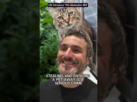 ‘PET ABDUCTION BILL’ IN UK