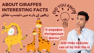 About Giraffes Interesting Facts | زرافوں کے بارے میں دلچسپ حقائق by Cool & Hot Hub 194 views 9 months ago 4 minutes, 12 seconds