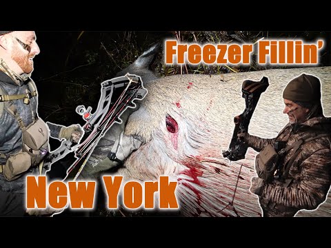 New York Bowhunting The RUT!