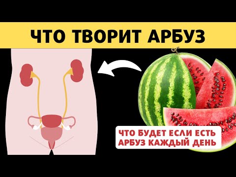 Покупка арбуза: что вы не знаете?