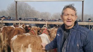 SHVET PARODALAR NARXLARI SHAHRIXON MOL BOZORI