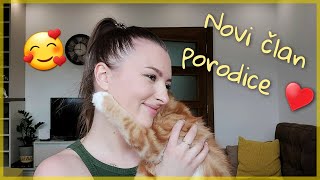 Nedeljni vlog | Novi član porodice Maine Coon | Sanja