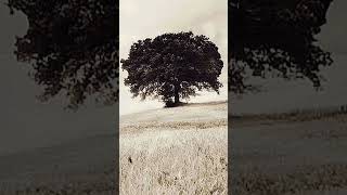 CHE COS'È LA CHIESA? (Jacques Blocher)