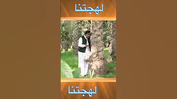 خميس ناجي شيلي اغطاك وجضى حالات واتس من برنامج لهجتنا 