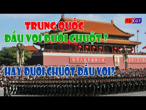 Video Trung Quốc - Đầu voi đuôi chuột hay đầu chuột đuôi voi? - youtube