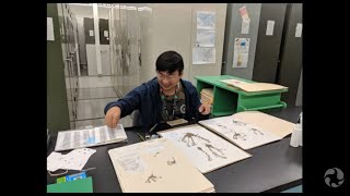 Expedition Arctic Botany: Digitizing a National Plant Library!