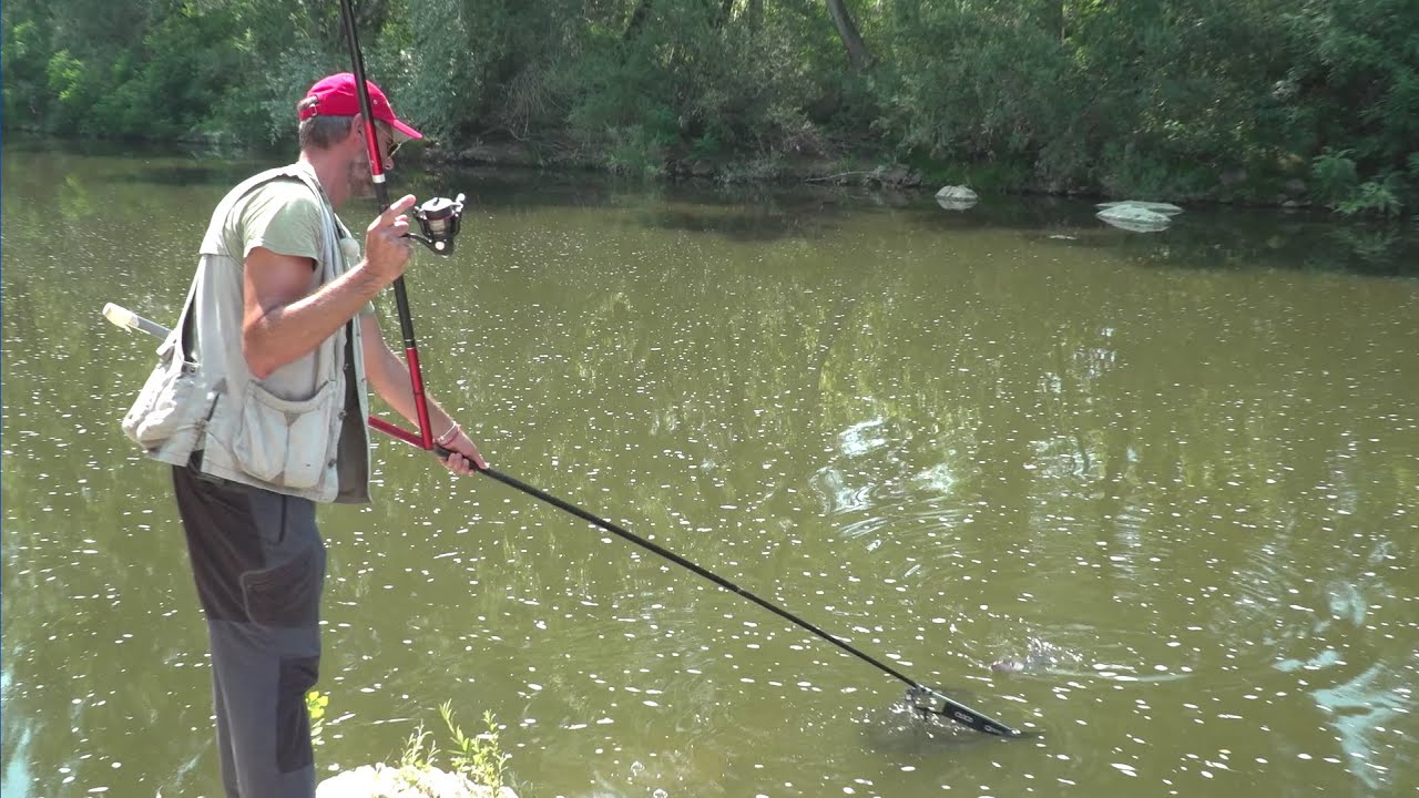 Bolognese estiva con il mais