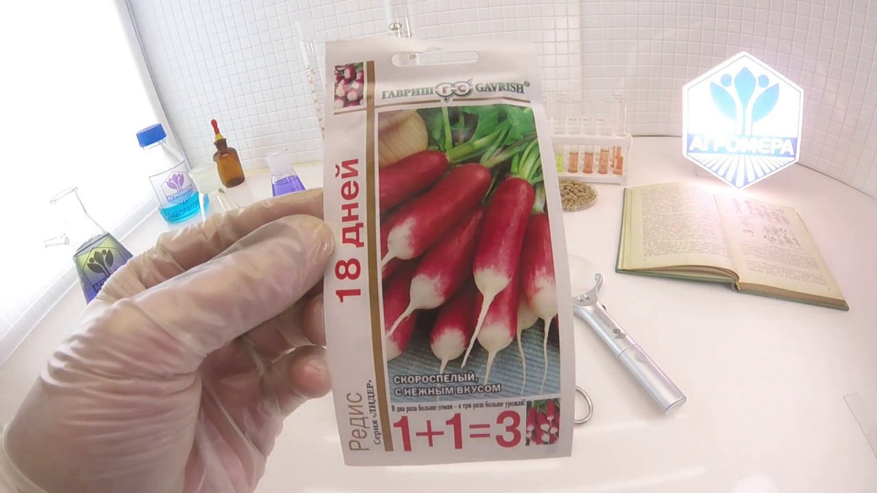 Редис 18 дней. Гавриш серия 1+1=3