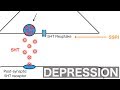 Major Depression and SSRI's/SNRI's