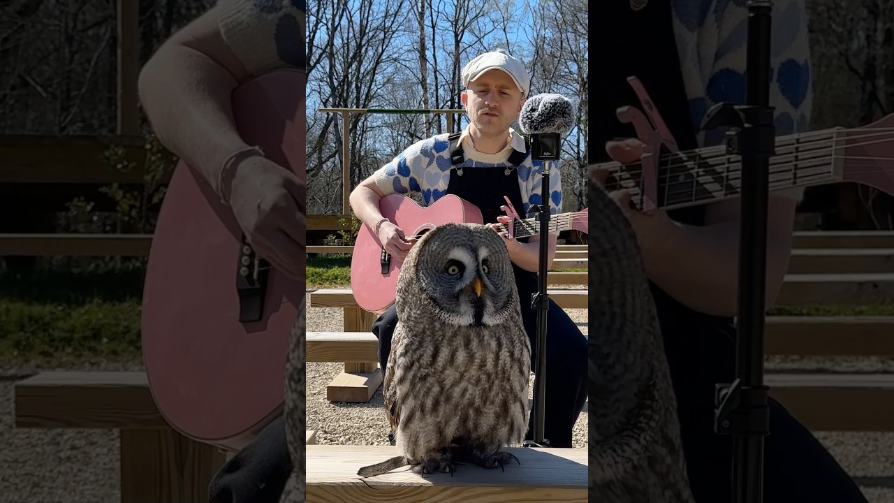Watch When she starts singing 🥹❤️ on YouTube Watch When she starts singing 🥹❤️ on YouTube