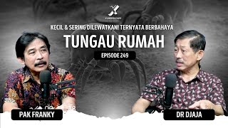 Episode 249 | Dermatophagoides: Tungau Debu Rumah Yang Menyebabkan Alergi #dokterdjaja