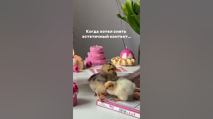 Как говорится, любишь кататься, люби и саночки возить😁💩🐣