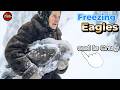 The Eagle Was on the Verge of Death. What that Old Woman did Next is Unthinkable!