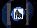 😱 Gorilla 🦍 Rampage Big Gorilla Lifts Car on Google Earth 🌎 #shorts #viral #trending #earth #5kview