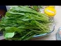 كيفية تحضير الهندباء البرّية Chicory leaves