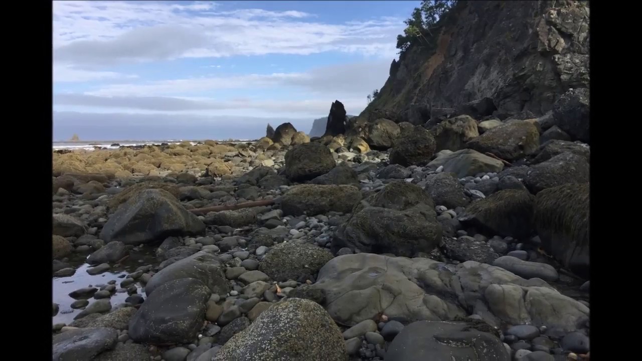 Oil City to Third Beach hike Olympic National Park June 26 28