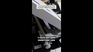 The Shocking Reason Your EcoTank is Missing Colors!