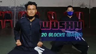 Wushu 20 Blocks Basic