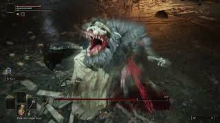 ELDEN RING: Beastman of Farum Azula – Lv.9 Vagabond, Morning Star, No FP, No Hit screenshot 4