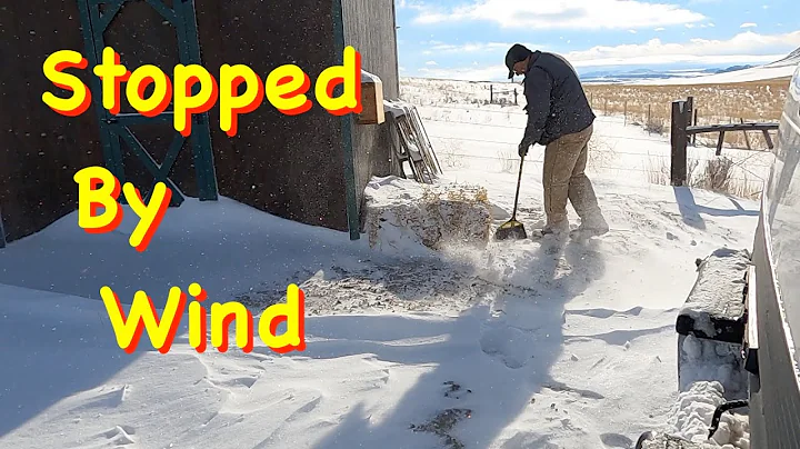 Chinook Winds Stop My Project | Engels Coach Shop