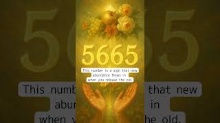 5665 Angel Number | What 5665 Means • Angel Message & Spiritual Awakening Details