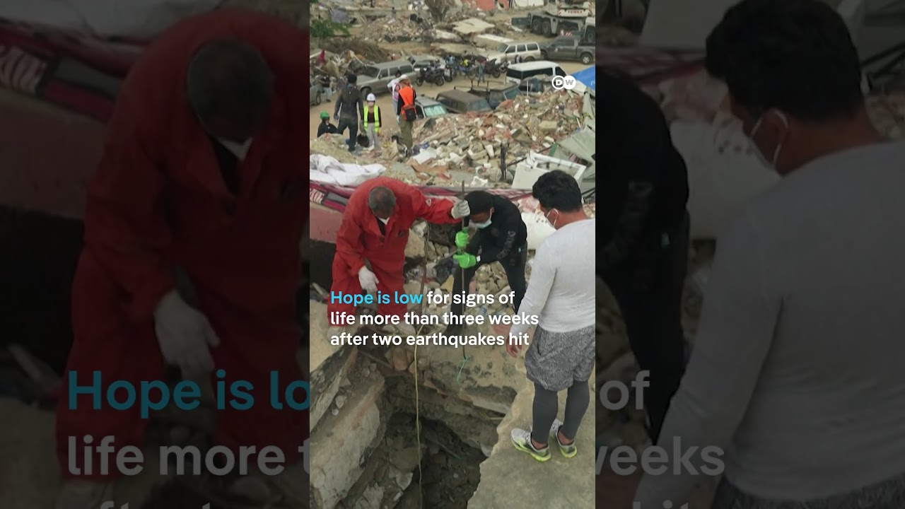 Kitten rescued from Venezuela earthquake rubble | DW News