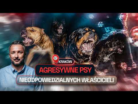 ATAKI GROŹNYCH PSÓW, PRZERAŻENI MIESZKAŃCY |  INTERWENCJA ZERO
