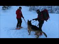 Sneni plaz  vaja grs bohinj  28122017