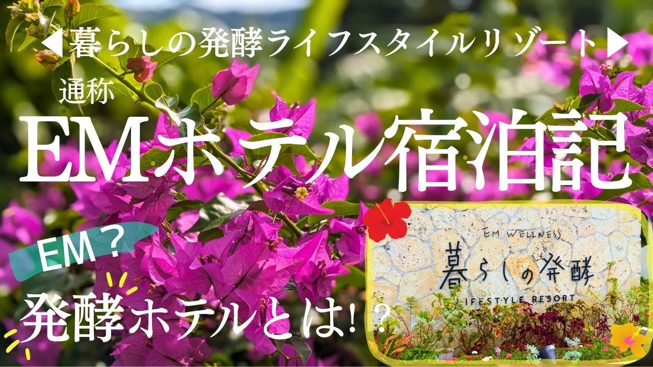 【沖縄ホテル】発酵へのこだわりがすごい！EMホテル宿泊記/2025.12