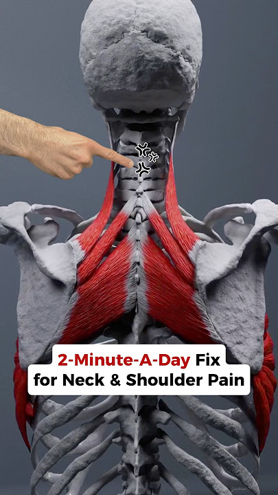 Treat NECK & SHOULDER Pain in 2 Minutes a Day! #neckpainrelief #neckpain #shoulder #shoulderpain