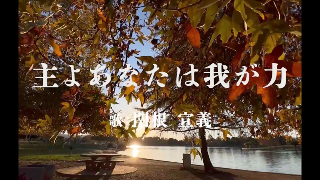 祝福 ／ 関根宣義 Nobuyoshi Sekine - YouTube