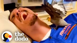 Woman's Boyfriend Tries To Win Over Her Possessive Bird | The Dodo Soulmates