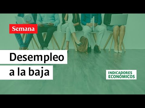 Desempleo en Colombia sigue a la baja, llegó a 11,4% en febrero de 2023