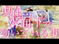 【未来予報】現在...水面下において、動いている事🫣✨❣️タロット🔮リーディング