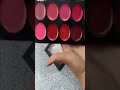 # Short Video Swiss Buauty Lipstick Shad Plate Review #