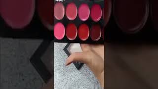 # Short Video Swiss Buauty Lipstick Shad Plate Review #