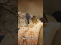Попал под удар РСЗО в SQUAD