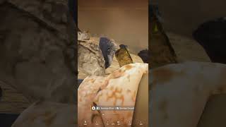 Попал под удар РСЗО в SQUAD