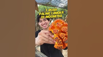 3 Buah paling langka di Indonesia!! Nomor 3 Jangan-jangan kesukaan kalian!!