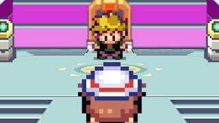 This Pokemon Roguelike Challenge is Brutal