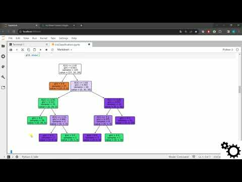 Arbres de décision - Iris Dataset (Python Decision Tree)