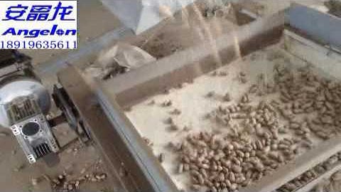 Peanuts Sorting With Shell-Angelon Peanut Color Sorter