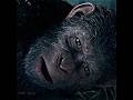 Her Kindness Gave Him Hope 🥹💔 | War for the Planet of the Apes #Shorts