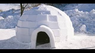 Igloo
