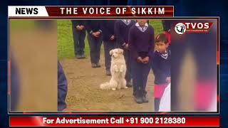 Dog Joins Morning Assembly at Sikkim School, Heartwarming Viral Video Wins Internet’s Heart
